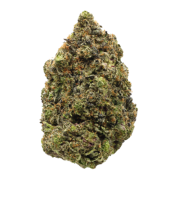 Octane 98 LSO – Indica Octane 98 LSO – Indica