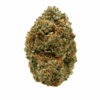 Sunshine Coast Pink – Indica Sunshine Coast Pink – Indica