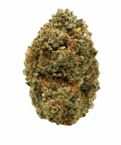 Donkey Butter – Hybrid BULK Donkey Butter – Hybrid BULK