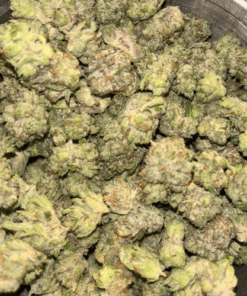Pink Godfather LSO – Indica
