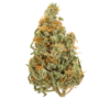 Lemon Tart – Sativa Lemon Tart – Sativa