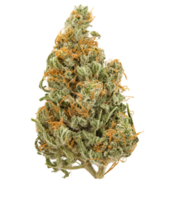 Kandy Kush – Sativa BULK Kandy Kush – Sativa BULK