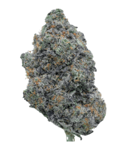 Orange Crush – Sativa Orange Crush – Sativa