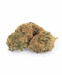 Orange Crush – Sativa