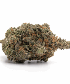 Galactic Pink – Indica