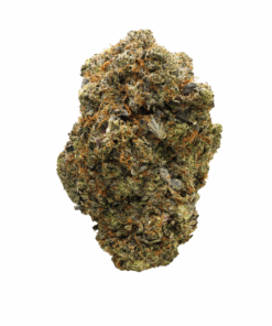 Ghost Fire Pink – Indica