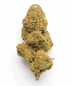 Lemon Punch – Sativa Lemon Punch – Sativa