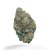 Island Pink LSO – Indica