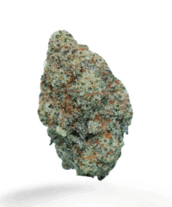 Pink Gas Mask LSO – Indica
