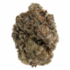 Quattro Pink – Indica Quattro Pink – Indica