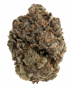 Cherry Berry – Hybrid/Sativa