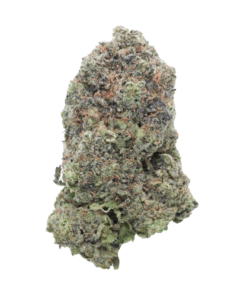 Purple Rockstar – Hybrid