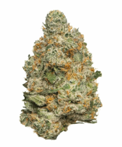 Apple Fritter – Sativa Apple Fritter – Sativa