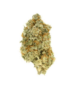 Citrix – Sativa