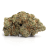 Nuken – Indica Nuken – Indica