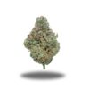 Death Lean-Indica Death Lean-Indica