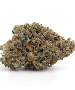 Quattro Pink – Indica