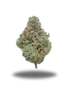 Tropical Runtz-Sativa Tropical Runtz-Sativa