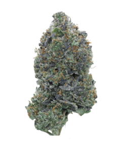 Lemon Pound Cake – Hybrid