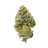 Pink Death LSO – Indica