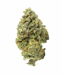 Island Pink LSO – Indica