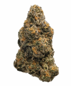 Strawberry Daiquiri – Hybrid