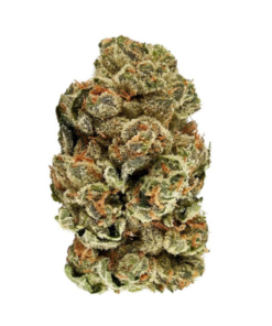 Cookie Kush – Indica