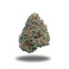 Sweet Candy-Sativa Sweet Candy-Sativa
