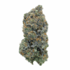 Amnesia Haze – Sativa Amnesia Haze – Sativa