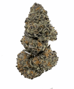 Sundae Driver – Sativa