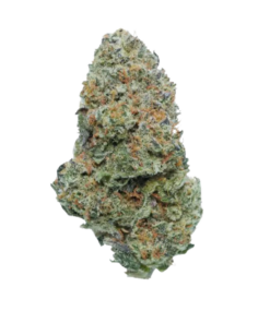 Dude Wheres My Car – Sativa BULK Dude Wheres My Car – Sativa BULK