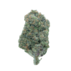 Blue Widow – Hybrid/Sativa Blue Widow – Hybrid/Sativa