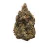 Pink Rockstar – Indica Pink Rockstar – Indica