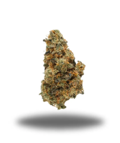 Orange Push Pop – Sativa Orange Push Pop – Sativa