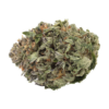Willy Wonka – Hybrid Willy Wonka – Hybrid