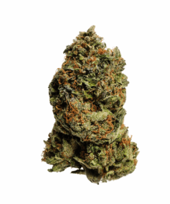 Killer Kush – Indica