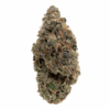 Pink Rockstar – Indica