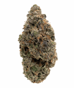 Pink Rockstar – Indica