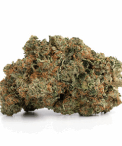 Hell Fire Pink – Indica