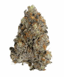 Pink Diablo – Indica