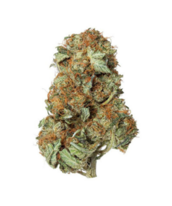 Mk Ultra – Indica BULK Mk Ultra – Indica BULK