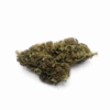 Hell Fire Pink – Indica Hell Fire Pink – Indica