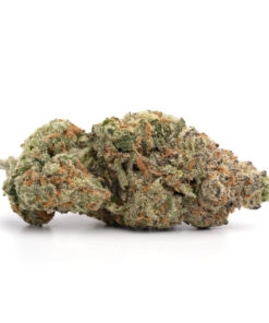 Wedding Crasher – Hybrid