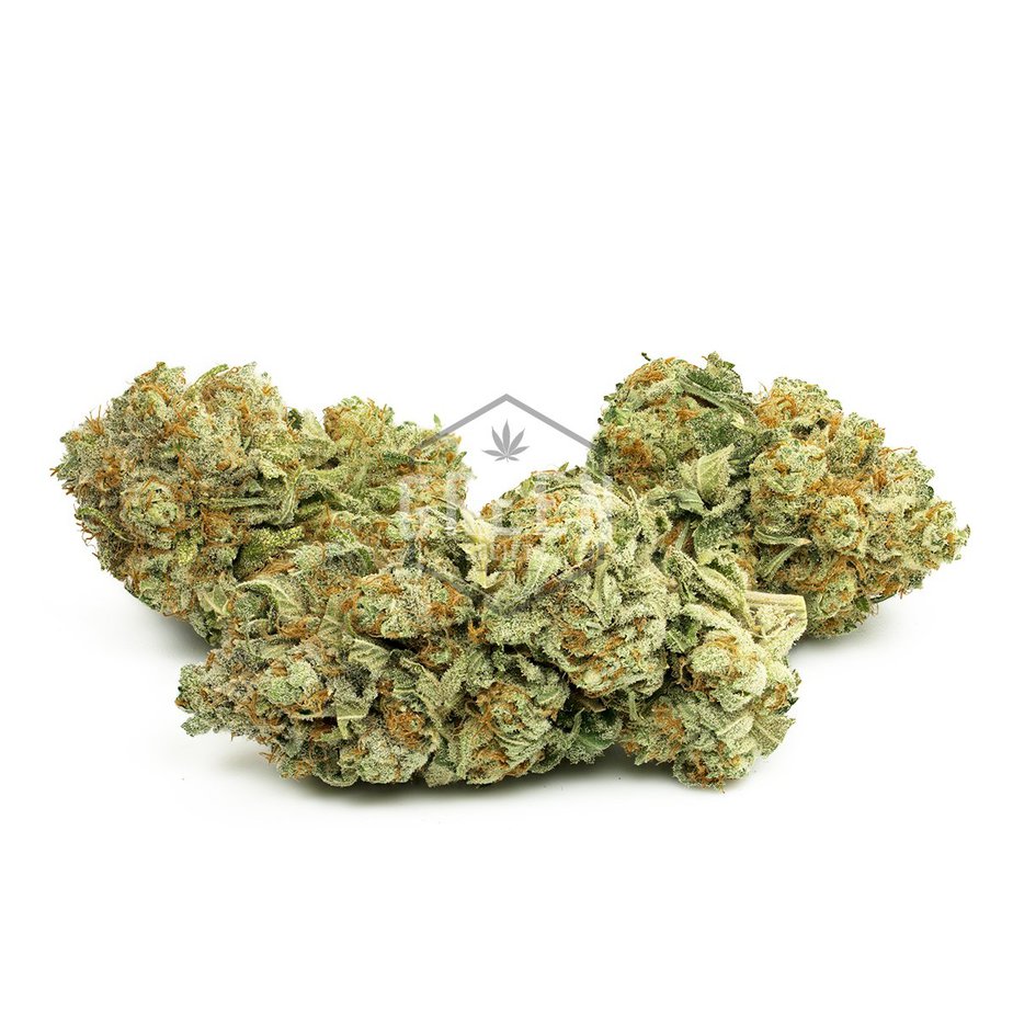 White Widow White Widow