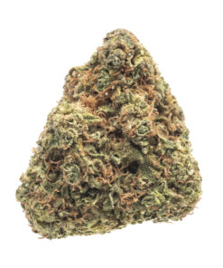 White Widow – Hybrid White Widow – Hybrid