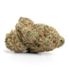 Ghost Train Haze – Sativa Ghost Train Haze – Sativa