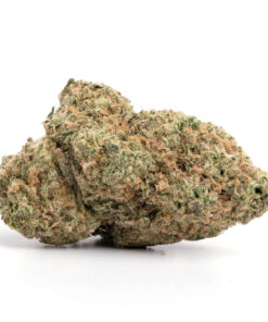 White Widow – Sativa White Widow – Sativa