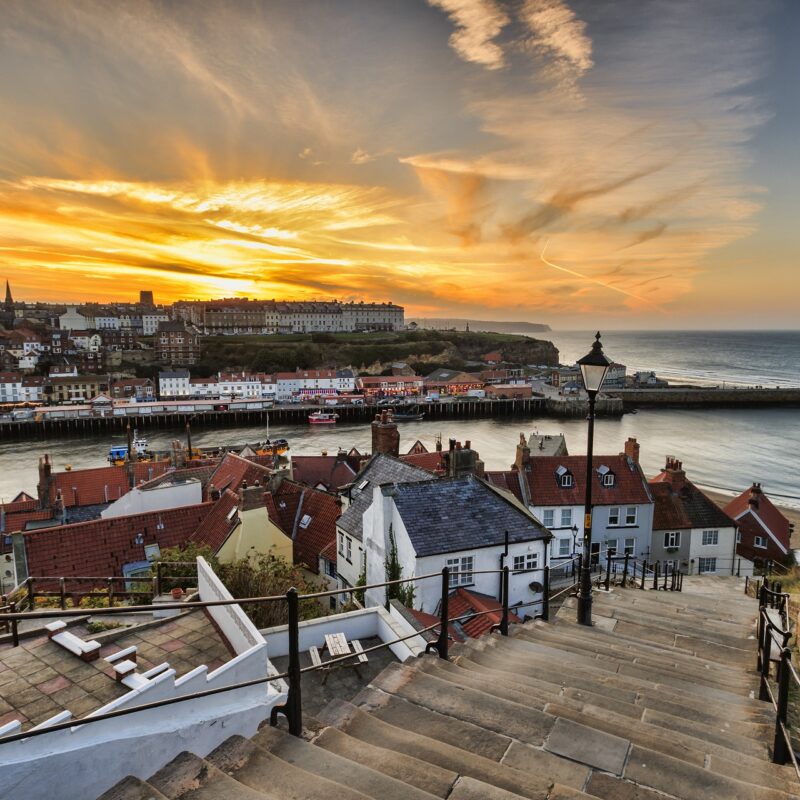 Whitby Weed Delivery adobestock1006504051 w1280h1280 800x800 - Whitby Weed Delivery