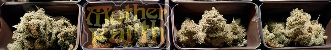 best hash online canada buying hash in canada guide 2111 - Best Hash Online Canada: Buying Hash in Canada Guide