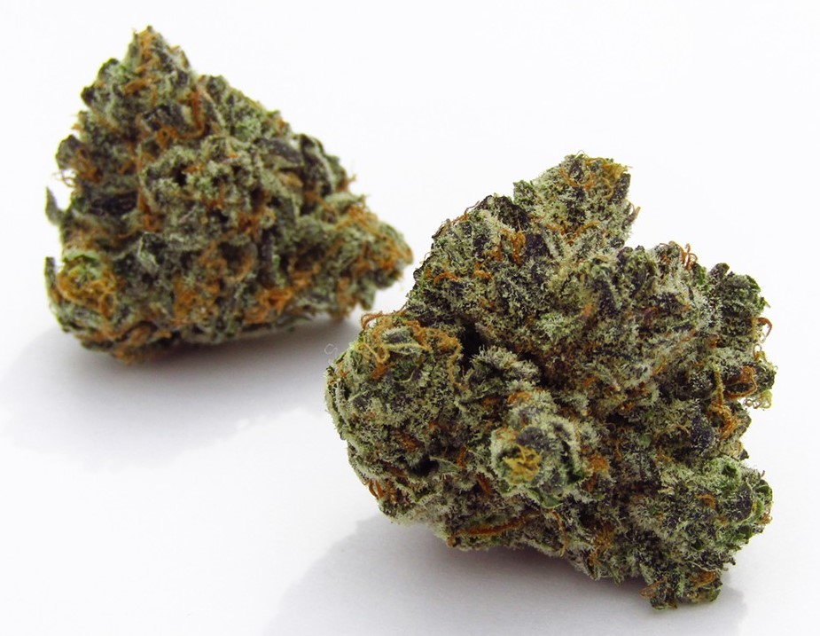 Blue Cheese Strain Review blue cheese strain review 3 - Blue Cheese Strain Review